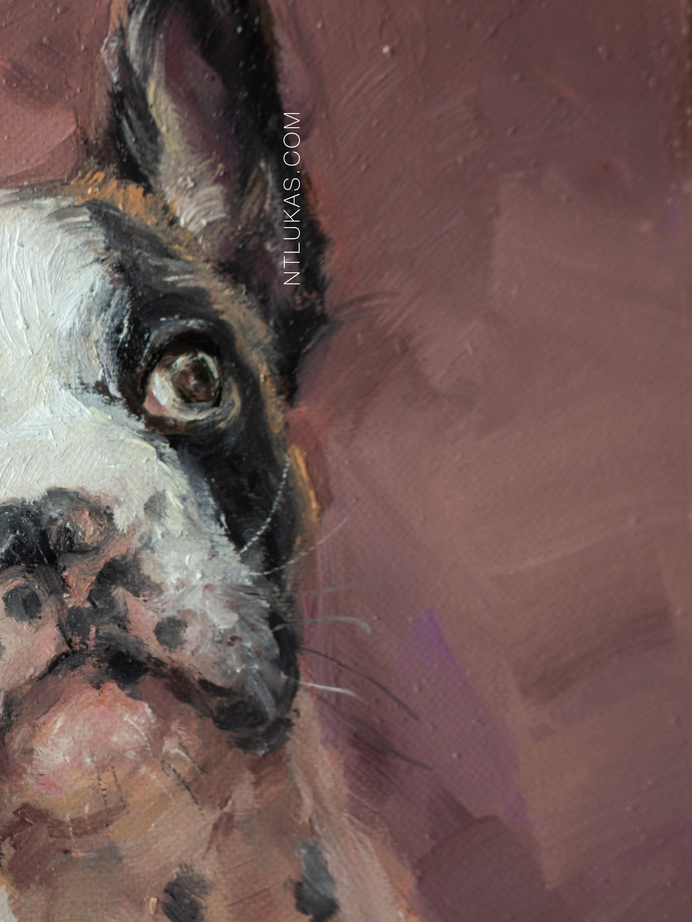 Close-up of a dog's face with a textured brown background