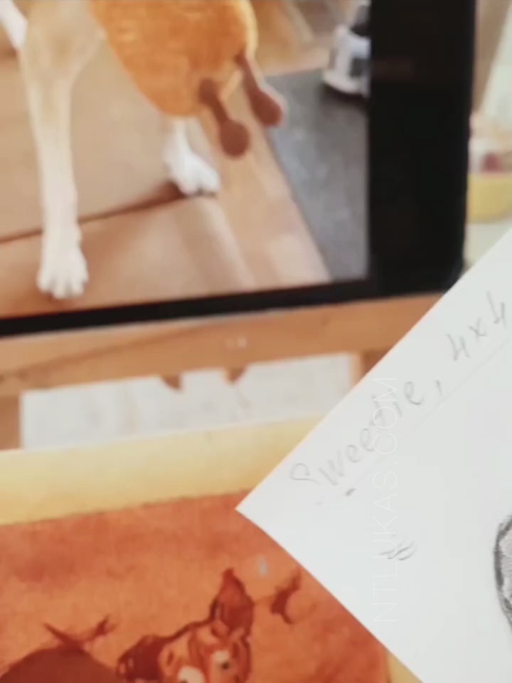 Oil painting with dog. Work in progress