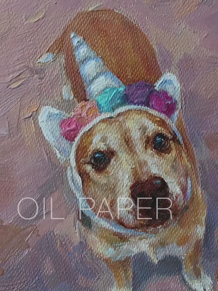 Video with card with a dog illustrations